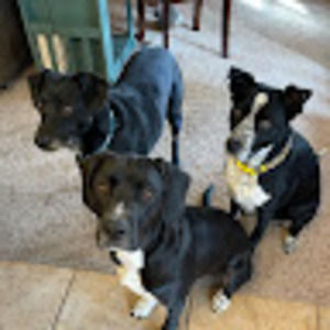 Meet your Posher, Danny